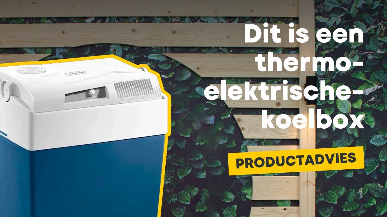 Wat is een Thermo-elektrische koelbox? | Productadvies | Toppy.nl