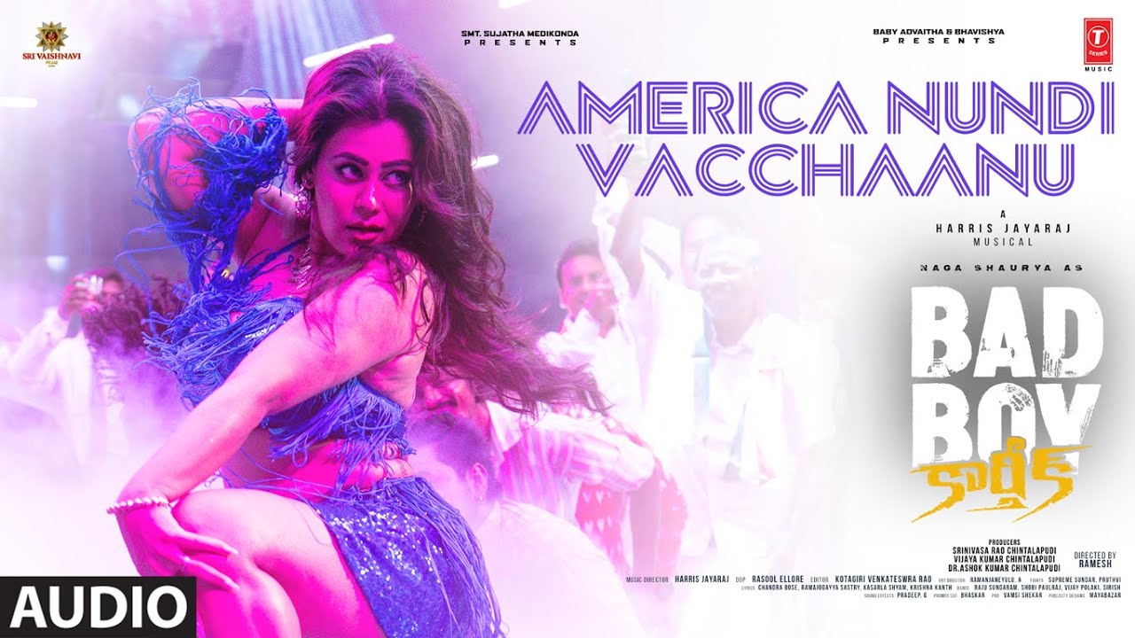 America Nundi Vacchaanu Audio Song | Bad Boy Karthik | Naga Shaurya | Harris Jayraj | Sneha Gupta