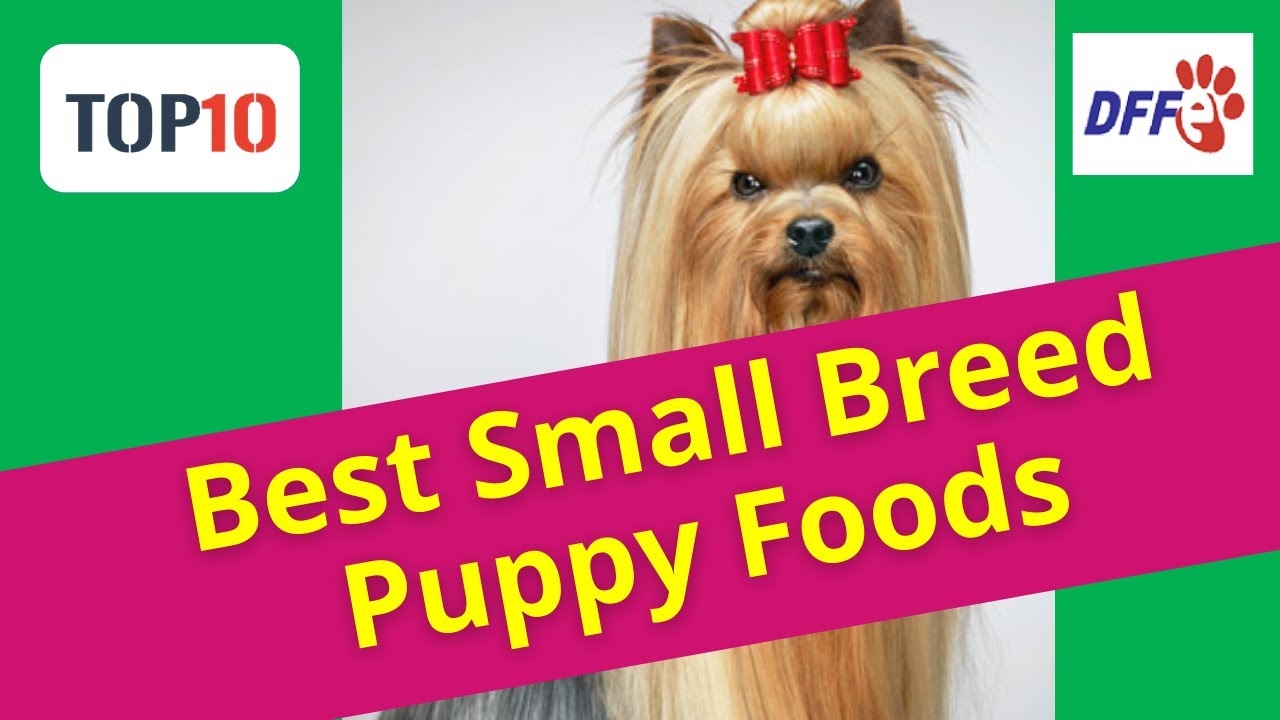 Top10 Best Small Breed Puppy Foods(Reviews)✅Buying Guide 2021
