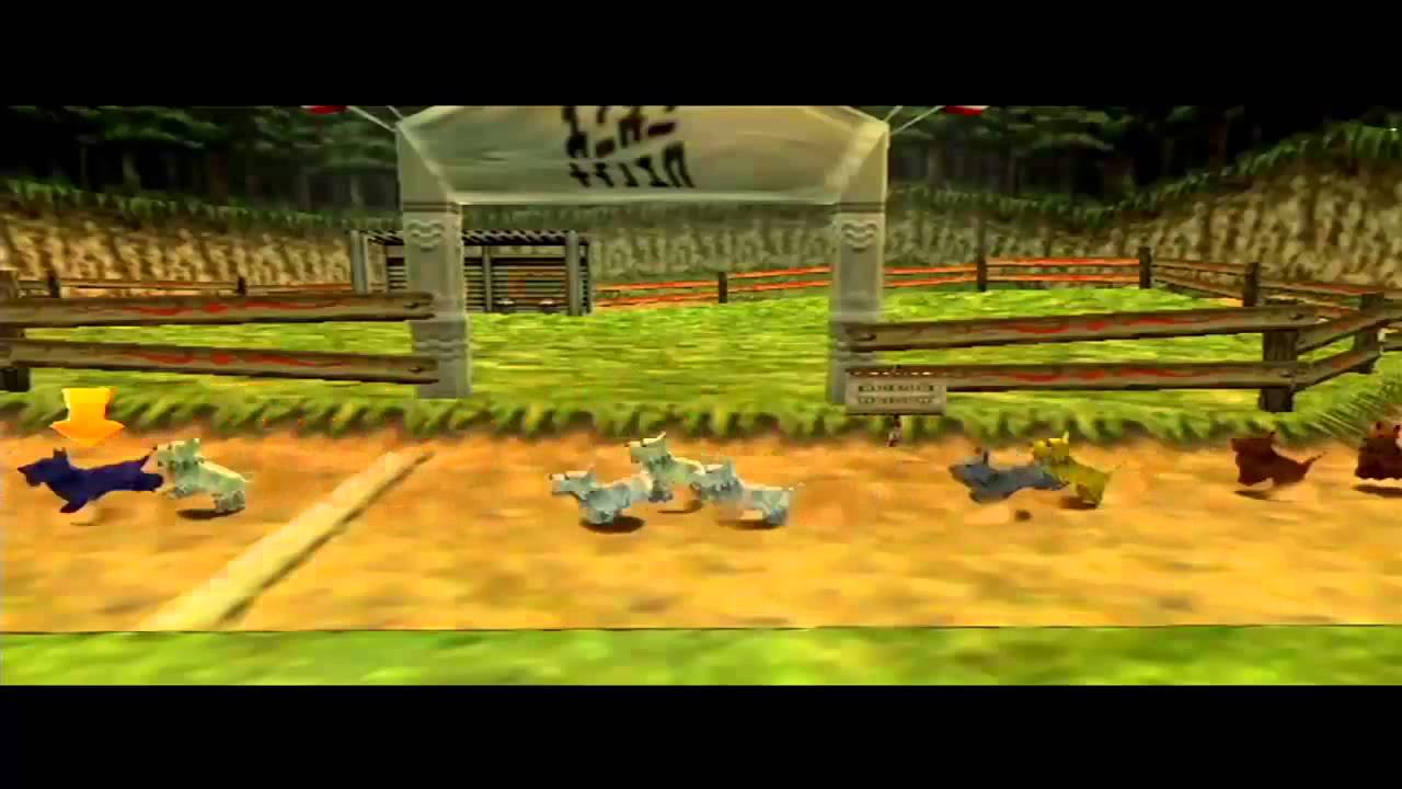 Chuggaaconroy - Doggy Race Track