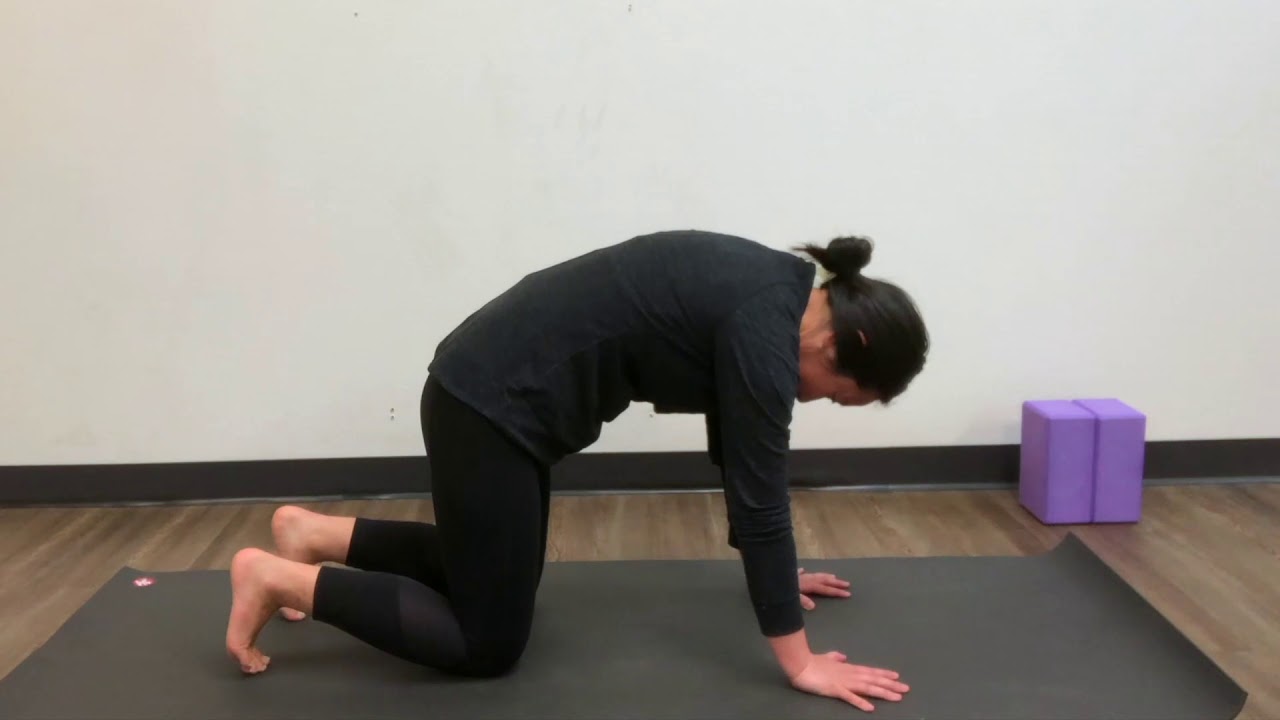 PT In Motion   Yoga   4 Cat:cow  Marjaryasana:Bitilasana