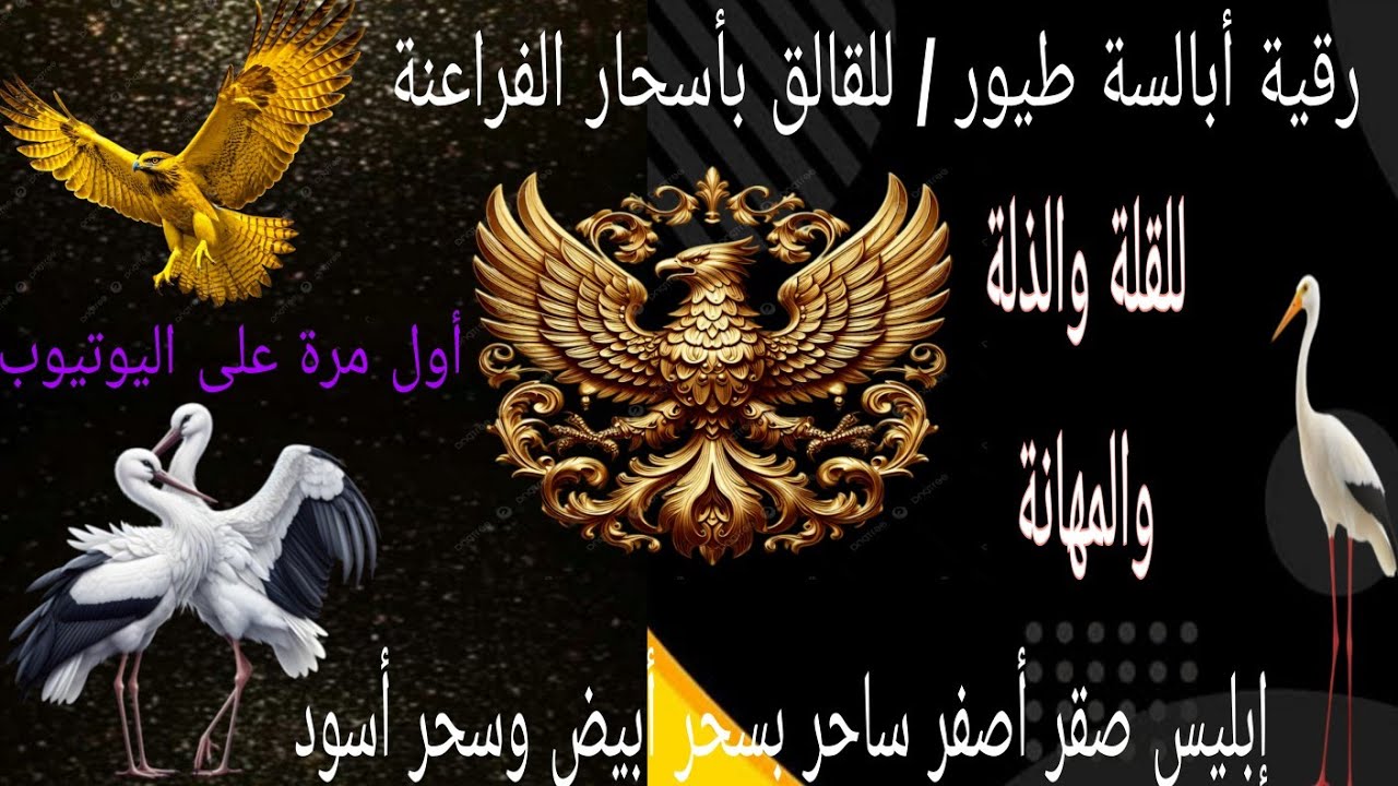 رقية// طيور أبالسة خادمة السحر الأبيض والأسود للقلة والذلة والمهانة إبليس صقر أصفر بسحر الرصد// 