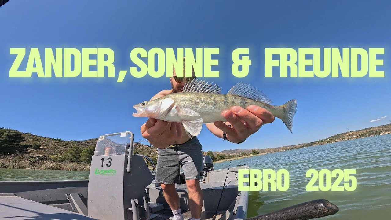 Zander, Sonne, Freunde – Ebro Angeltrip 2025