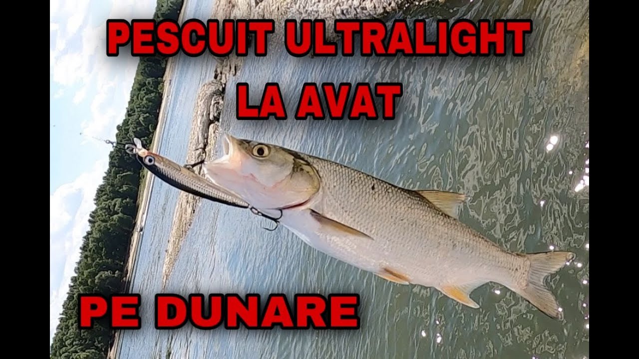 Pescuit ultralight pe Dunare la avat - iulie 2022