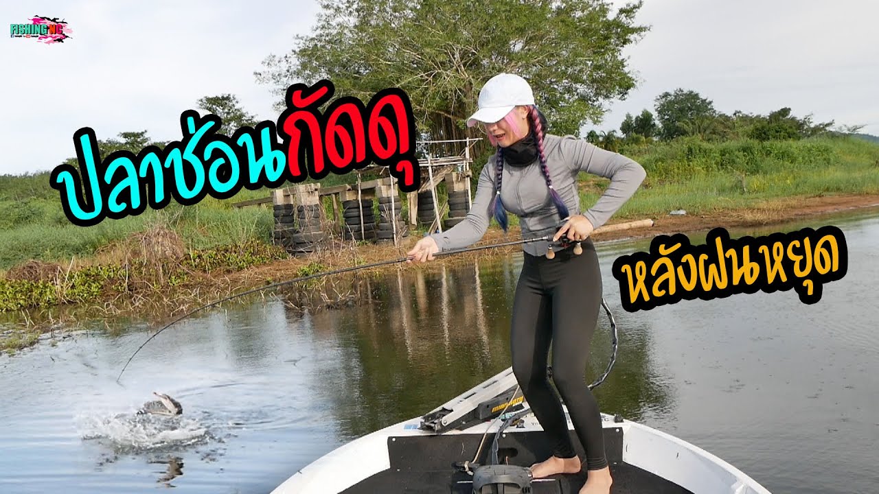 ตามล่าหาปลาช่อนชะโด หลังฝนหยุดกัดโคตรดีโคตรดุ!!