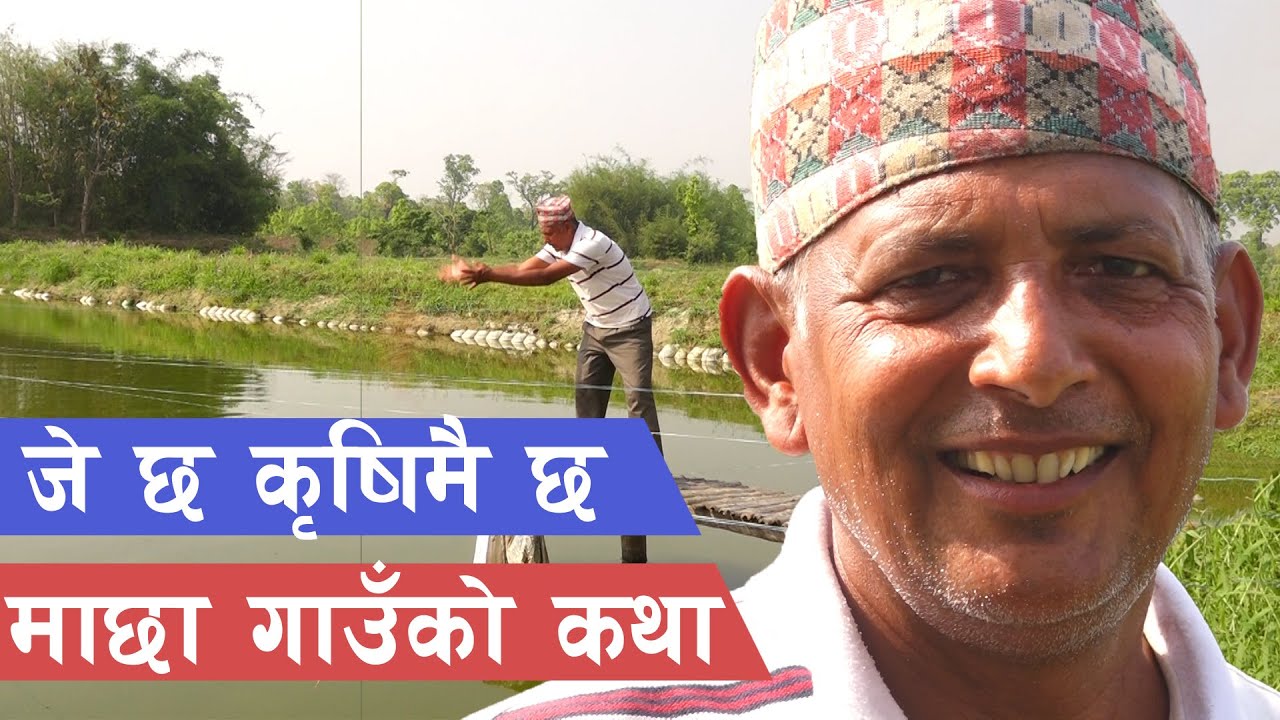 माछा पालेरै मालामाल || Macha Guan, Fish Farming in Nepal ||