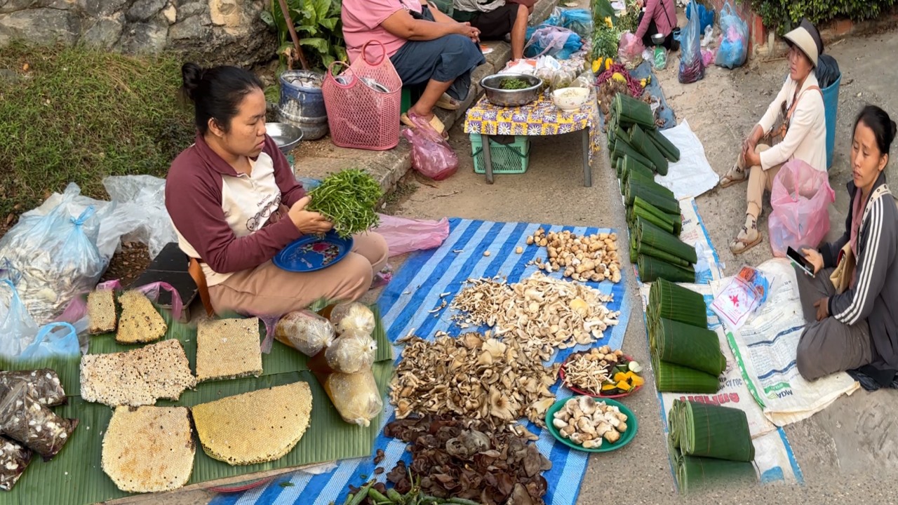 ຕະຫລາດເມືອງວັງວຽງ/ตลาดเมืองวังเวียง/Lao market in VangVieng