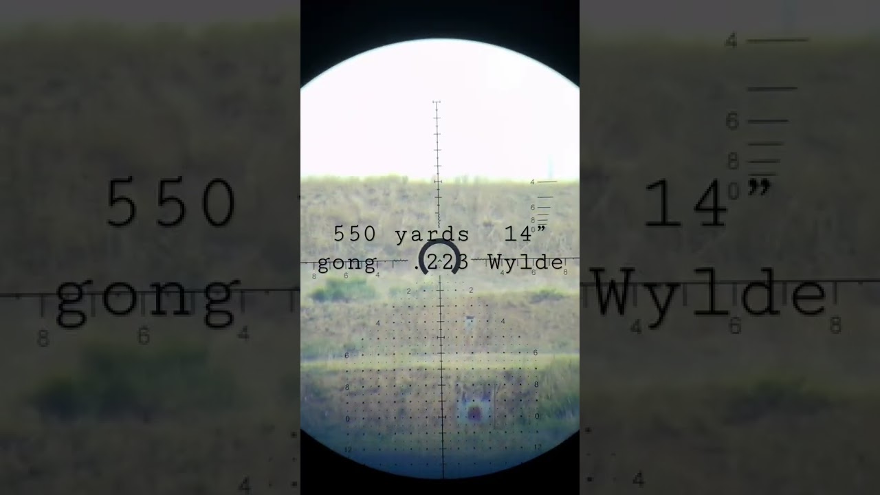550 yards  14&rdquo;gong  .223 Wylde