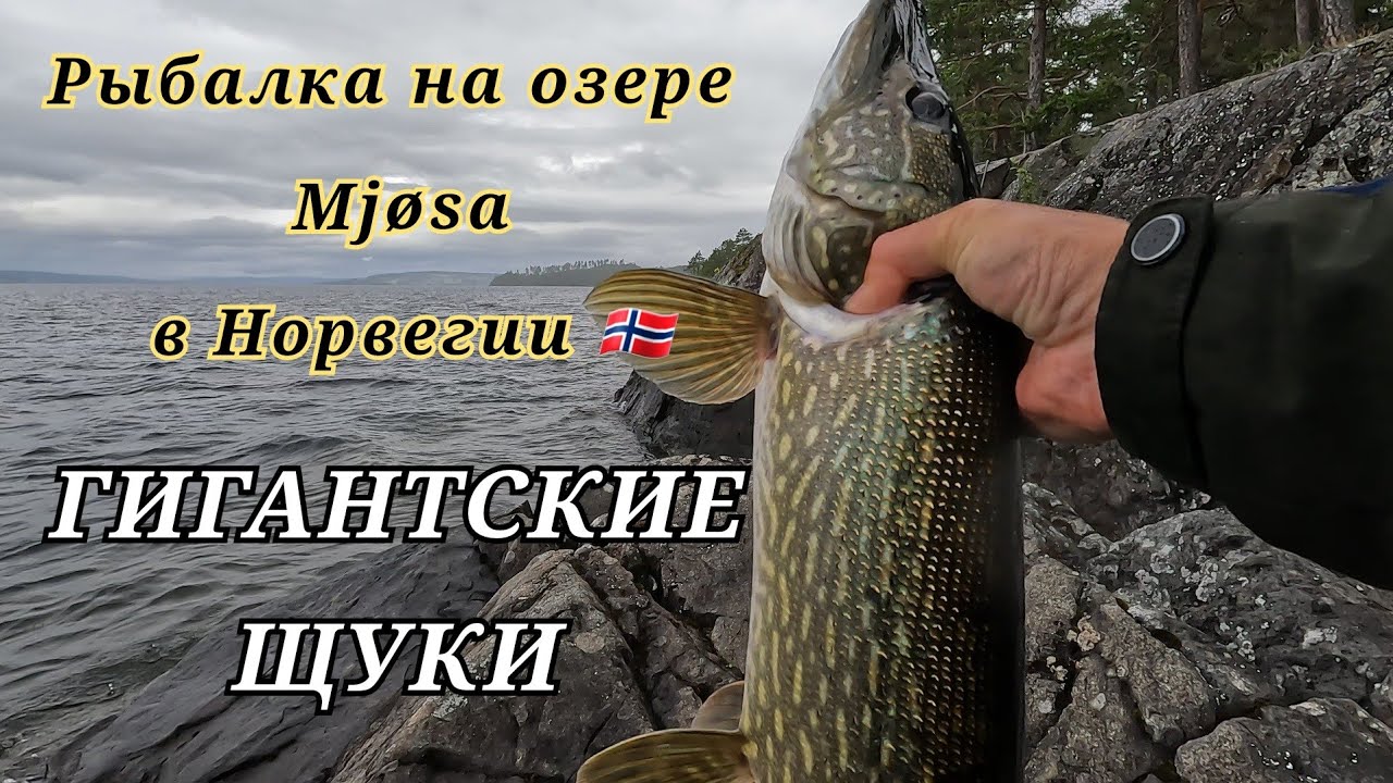 Fiske i Mj&oslash;sa. Норвегия. Рыбалка на самом глубоком озере. Глубина 453 метра.