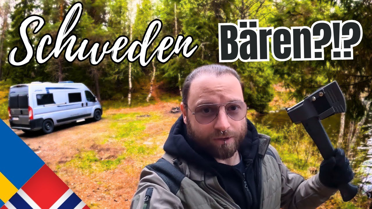 Was ist hier passiert? | Bärenspuren in Schweden | 3 Monate im Wohnmobil | Woche 9
