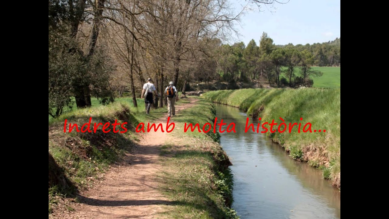 Bages