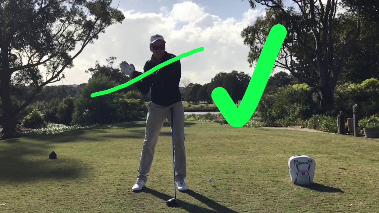 Vlog 8 - Big Dog Less Dispersion