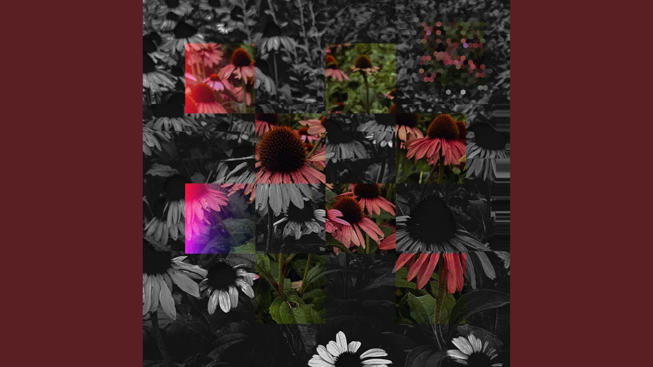 Six Leaf Clover