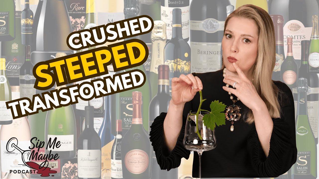 Maceration 101: Understanding Wine Through Tannins, Texture, and Tone