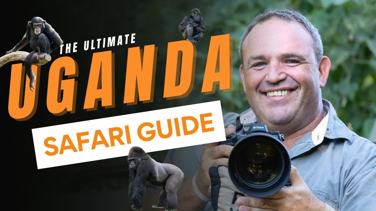 The Ultimate Uganda Safari Guide