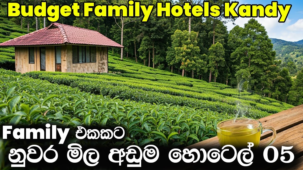 නුවර Family එකකට නවතින්න මිල අඩුම හොටෙල් 05 | Best Budget Hotels Kandy, Sri Lanka, Part 02