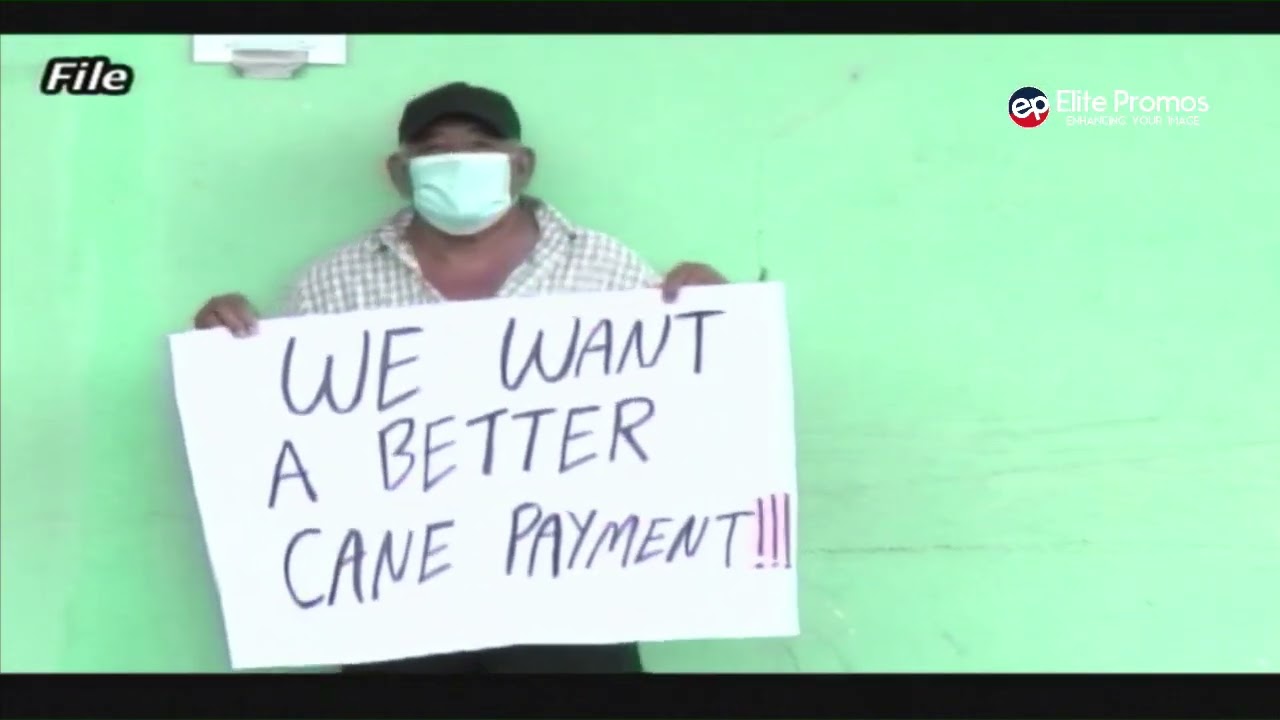 TENSIONS CONTINUE TO BUILD IN THE SUGAR INDUSTRY BETWEEN ASR AND BSCFA