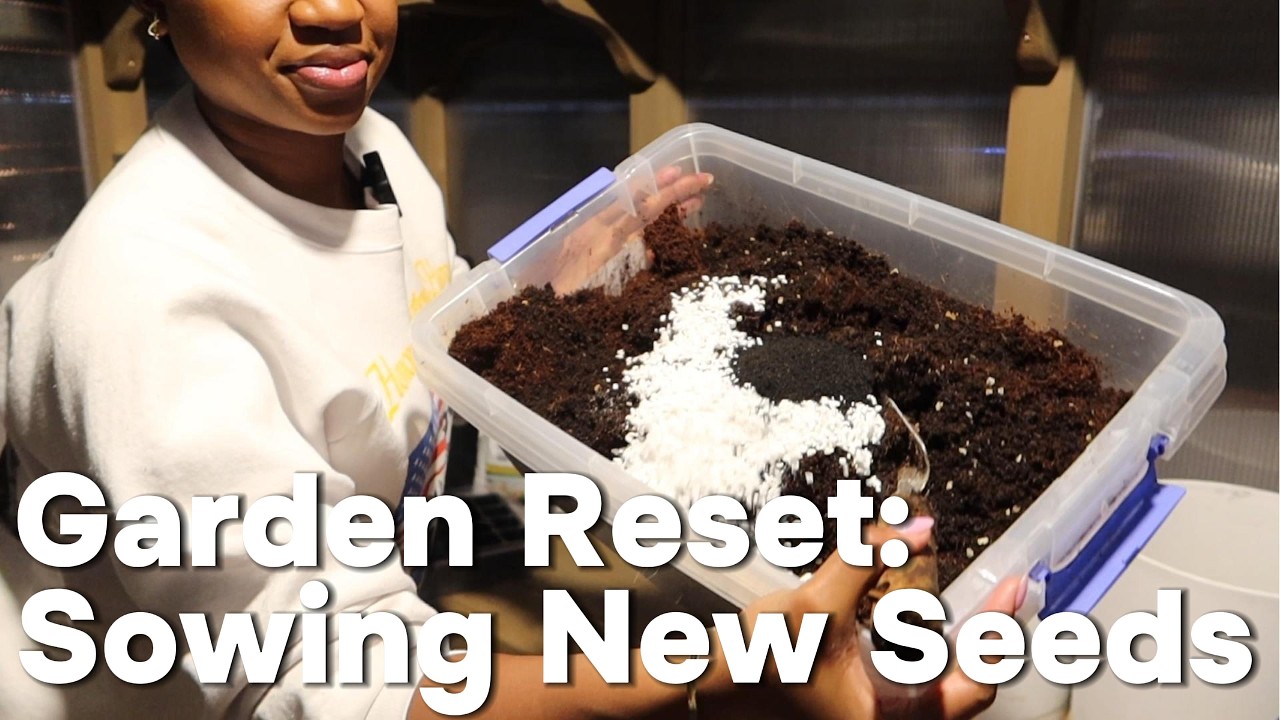 Greenhouse Sowing Part 3 | Sowing New Seeds