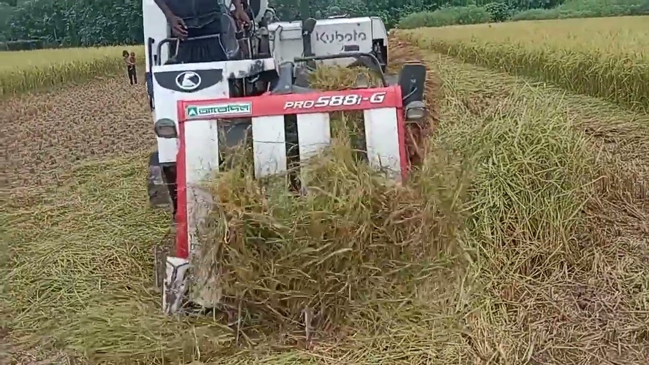 Kubota mini combine harvester II Paddy cutting machine II Mini harvester II Kubota