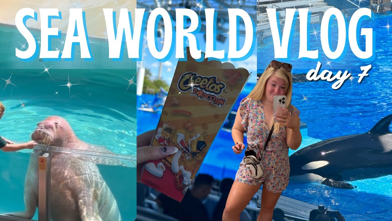 Day at SeaWorld + Target & TJMAXX Haul