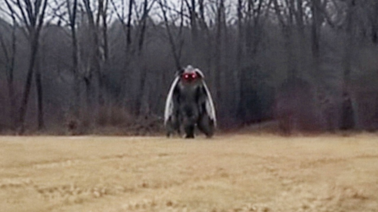 Mysterious Mothman Encounters Caught On Camera