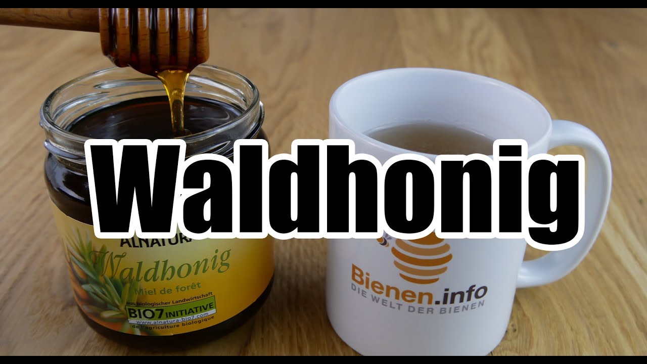 Waldhonig - Aromatischer Honig & Hausmittel
