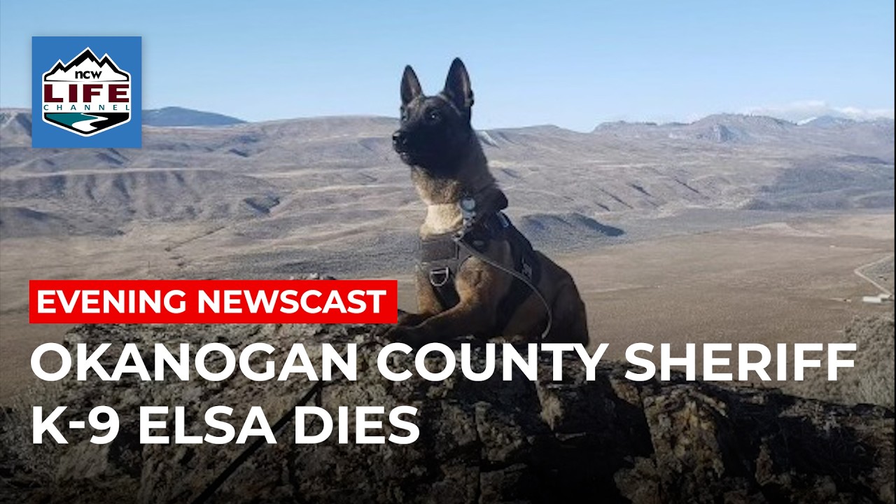 19 марта 2026 г. | Вечерние новости NCWLIFE