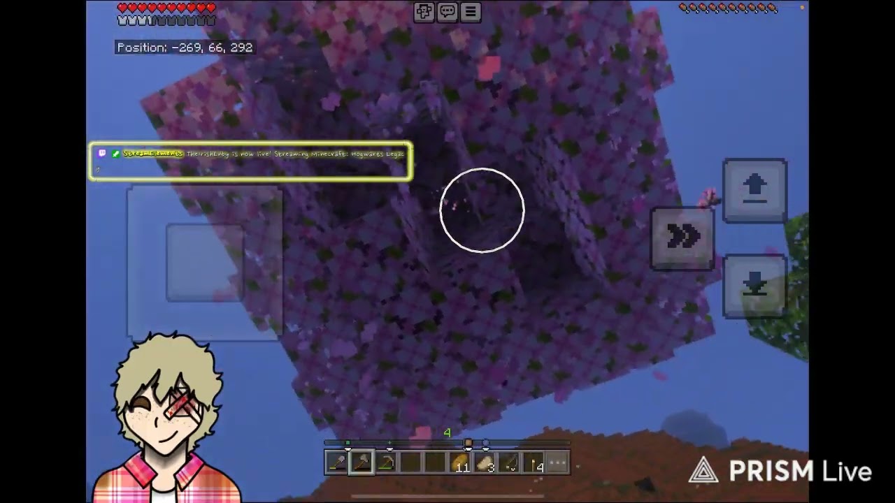 theives wrath smp 1