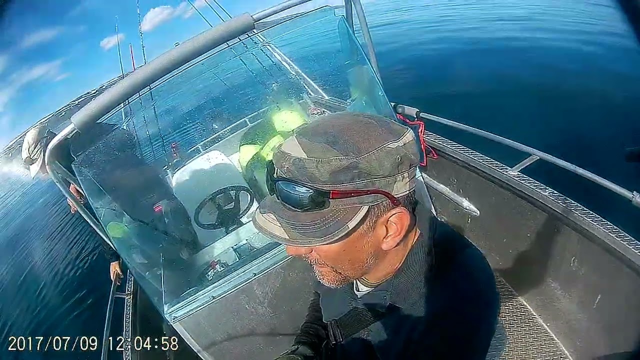 Kjollefjord 2019