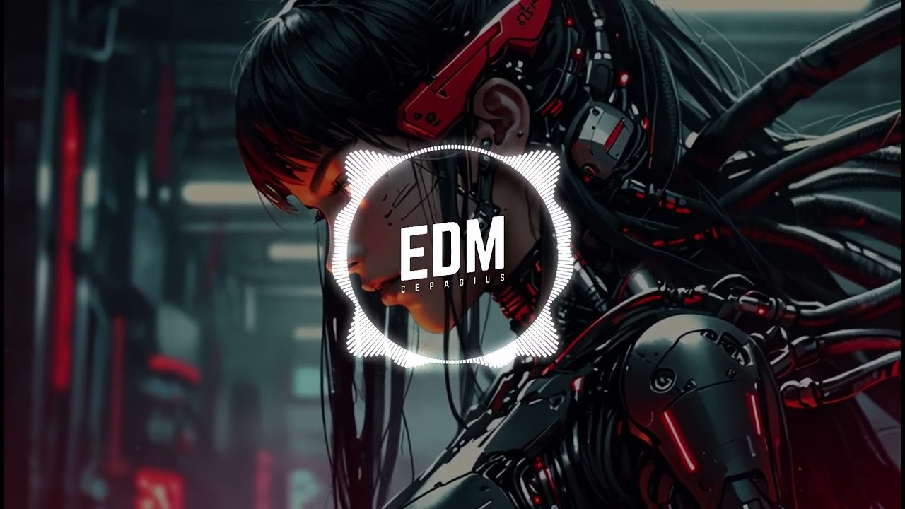The Signature Sound of Elektronomia