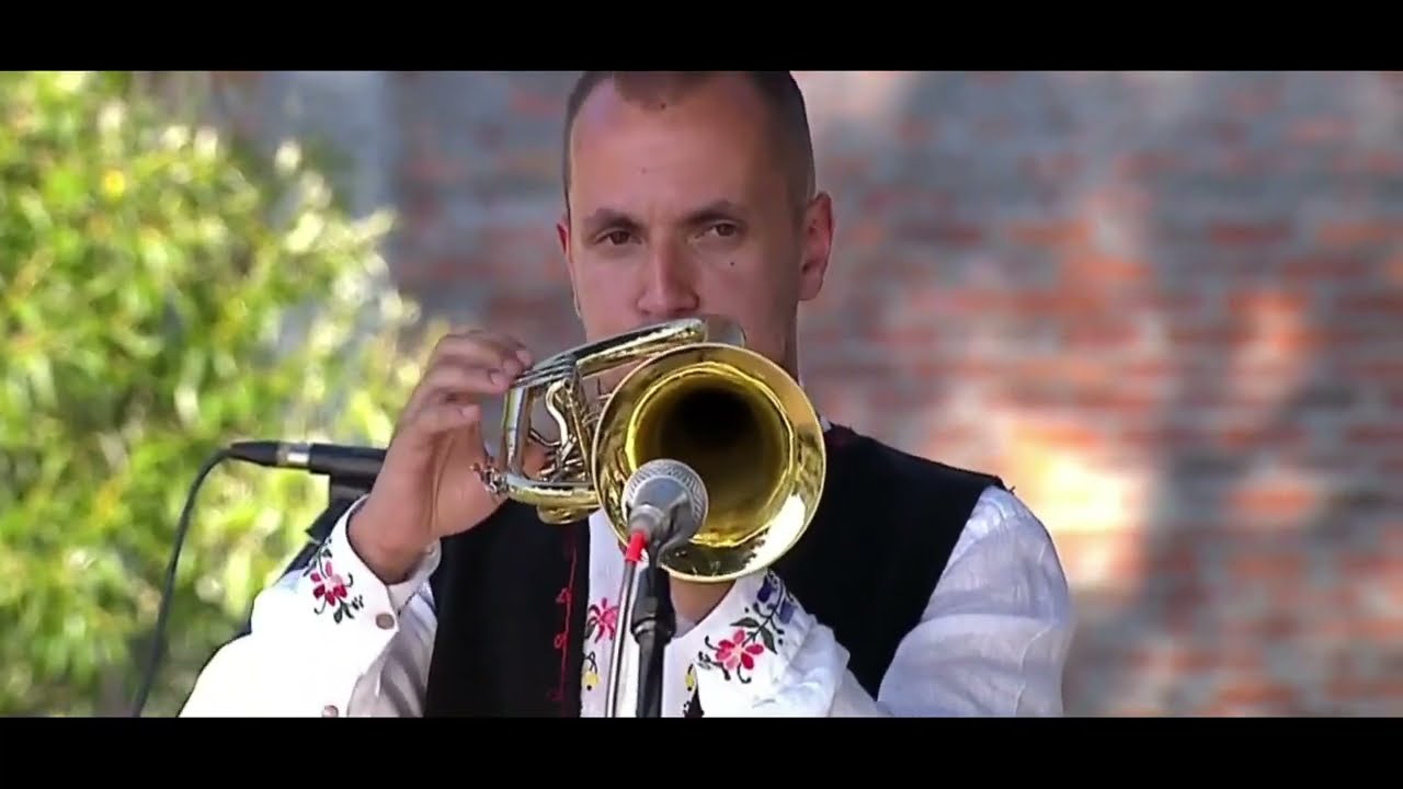 Timocki Veseljaci - Nadojna (Kraj Dunava koliba) Guca 2021