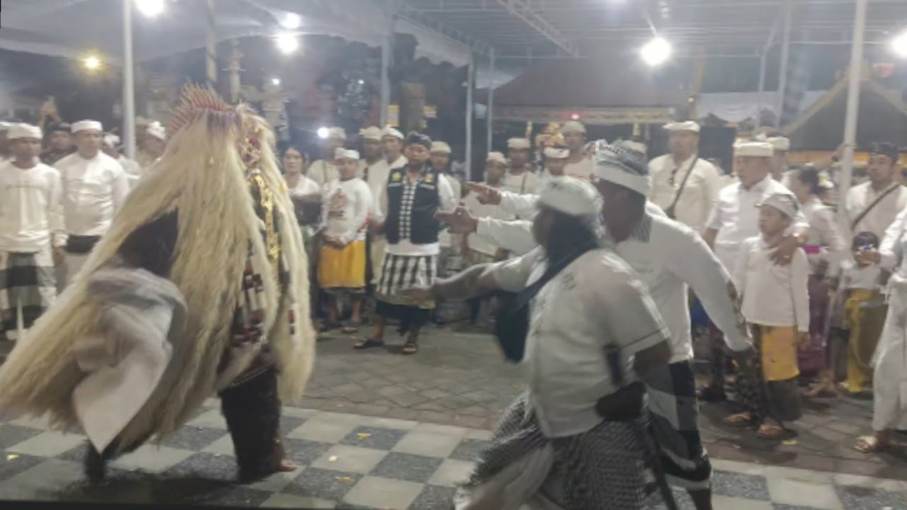 Histeris.. Kerauhan massal..‼️Napak Pertiwi Pelawatan  Pura dalem Pejarakan Ulun Lencana
