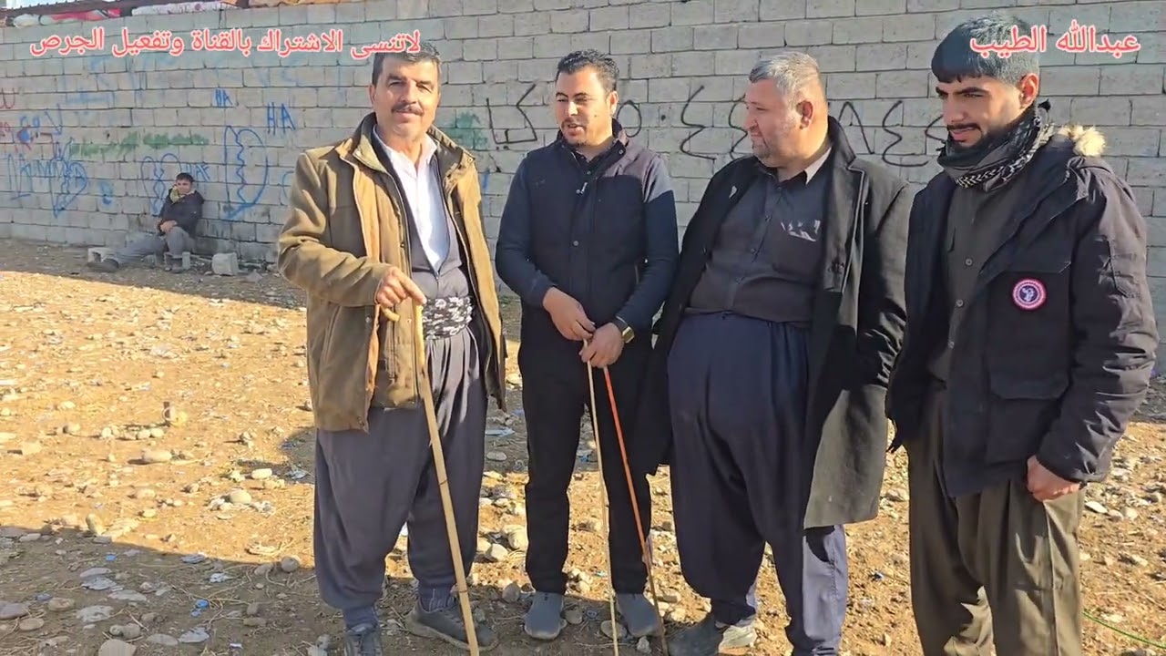 سوق البقر في اربيل إقليم كردستان #بقر #بقرة #عجول #عجل #حولي #هولشتاين #فريزي #عبدالله_الطيب #العراق