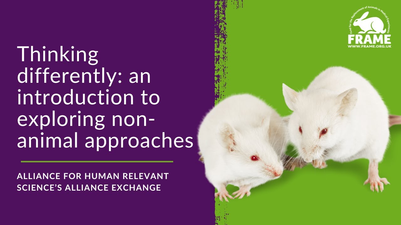 Thinking differently – An introduction to exploring non animal approaches