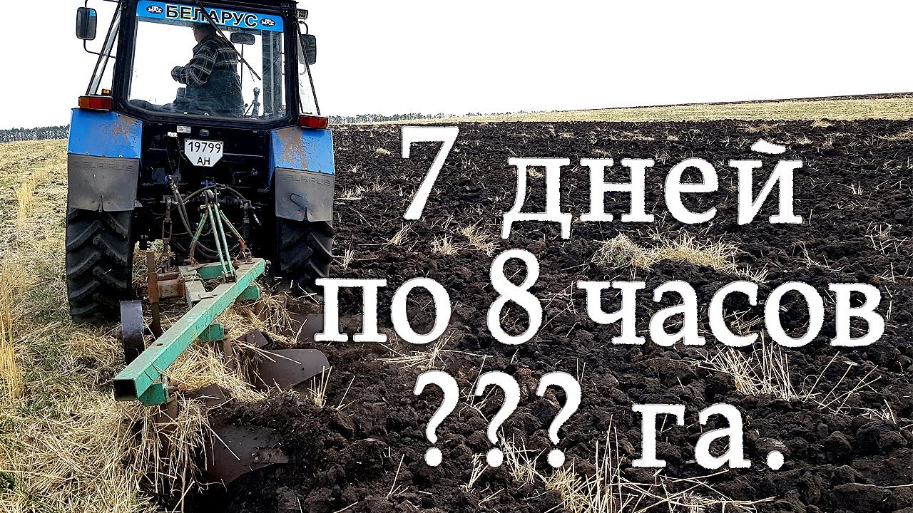 На что способен МТЗ ⁉️ Пашу 7 дней по 8 часов↩️