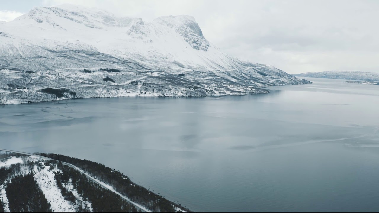 Visit Abisko | Fj&auml;ll to Fjord - Narvik Day Trip