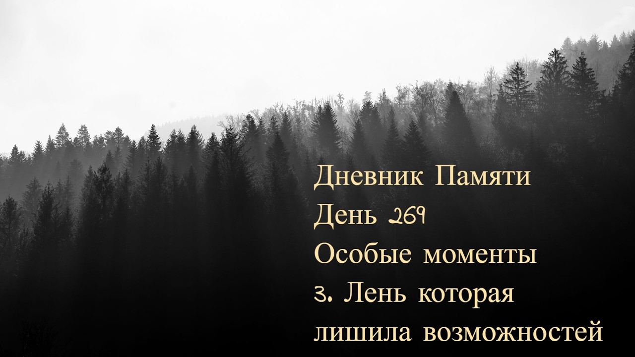 Дневник Памяти. День 269. Особые моменты. 3. Лень которая лишила возможностей