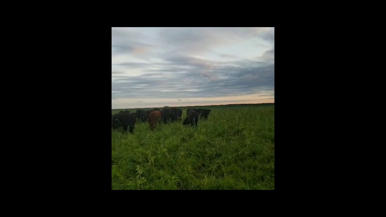 John Wood Farm Walk