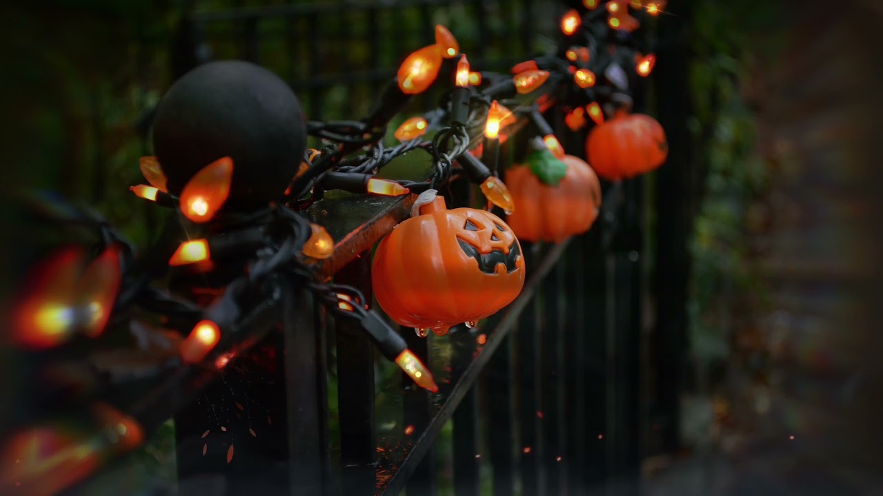 Pumpkin Lanterns & Fairy Lights 🎃 — City Noisds, Bird Sounds & Wind Chimes 🍂🍁