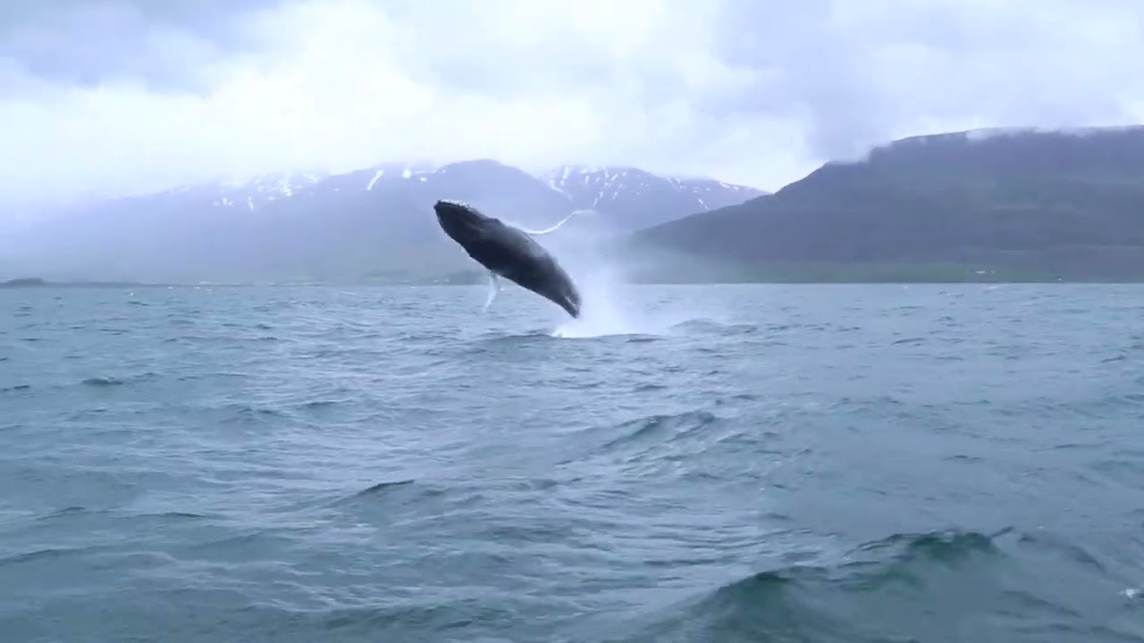 Exploring the world, with TIMEZERO Marine Navigation Software