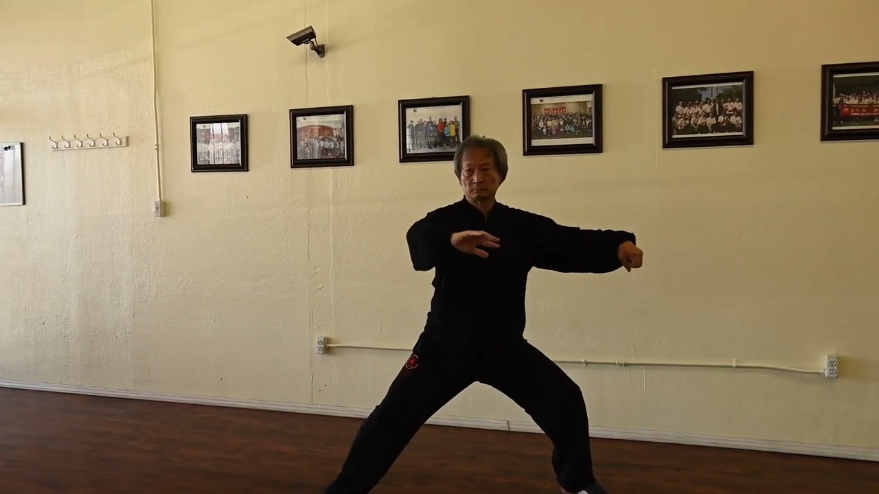 A Lifetime of ChenTaiChi XingjiaYiLu, New Form, First Route Part 1