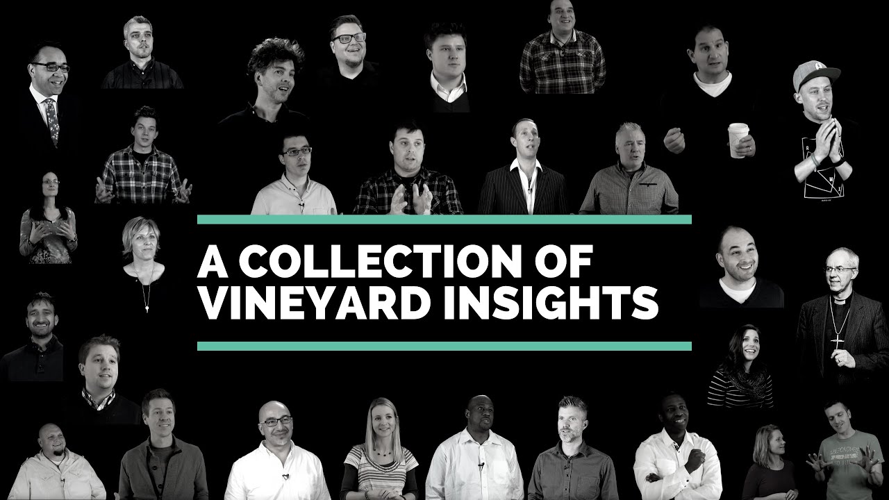 Vineyard Insights Trailer