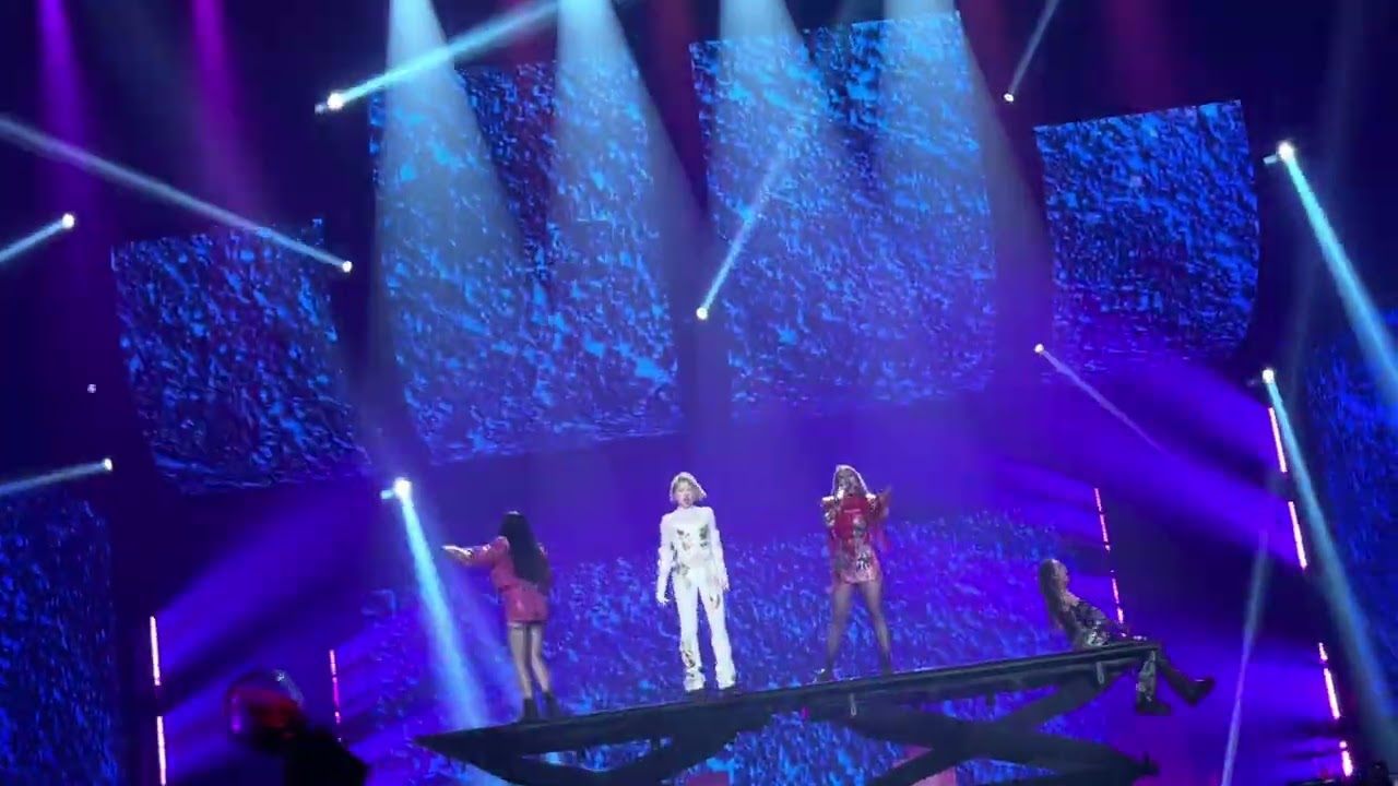 2ne1콘서트 day3 live Ugly ( 곁엔 블랙잭 있써어~~~ 이노랜 뛰어야제맛 !! )