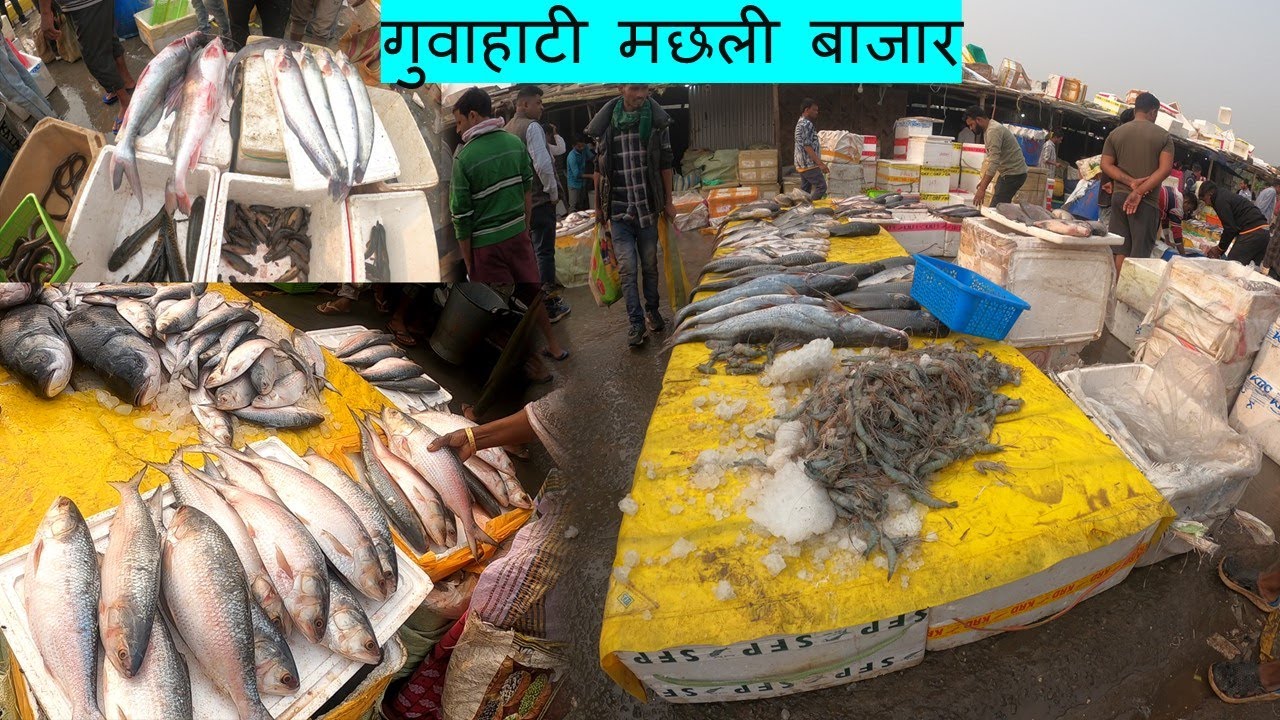 Guwahati Fish Market | Hatigaon