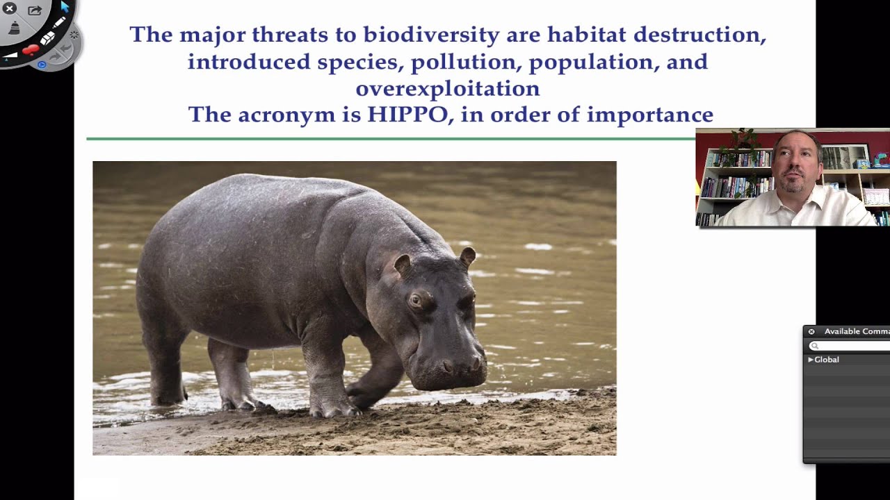 Introduction to Conservation Biology