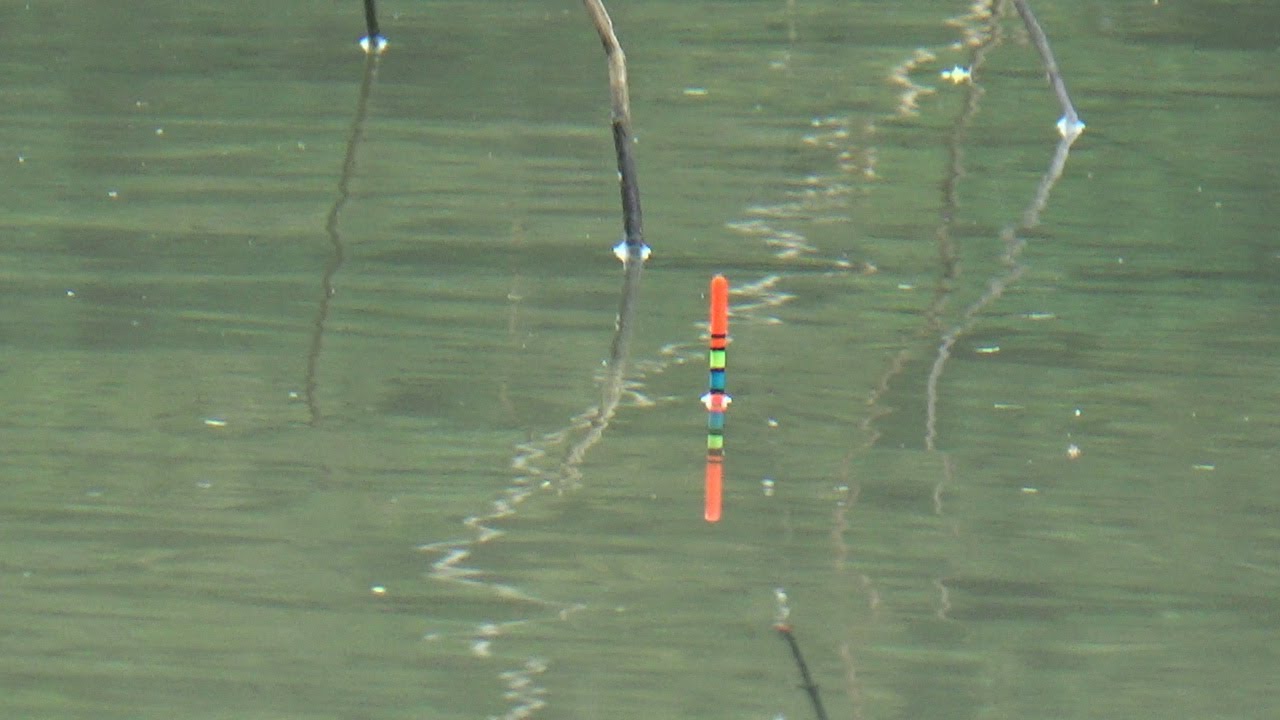 Kenapa Spot Sebagus Ini sering Kali Dilewatkan Para Pemancing 🇮 Waduk Bendo Terbaru 2025