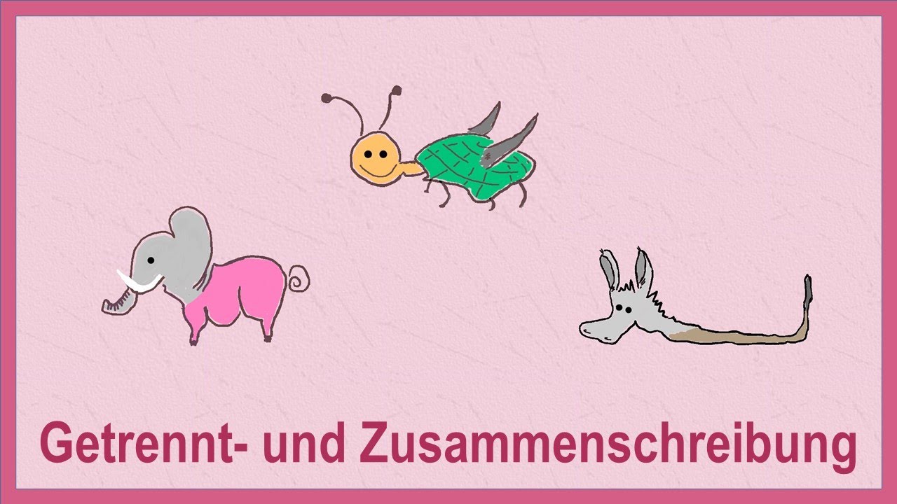 die Getrennt- Zusammenschreibung | die 6 wichtigsten Regeln | DiB