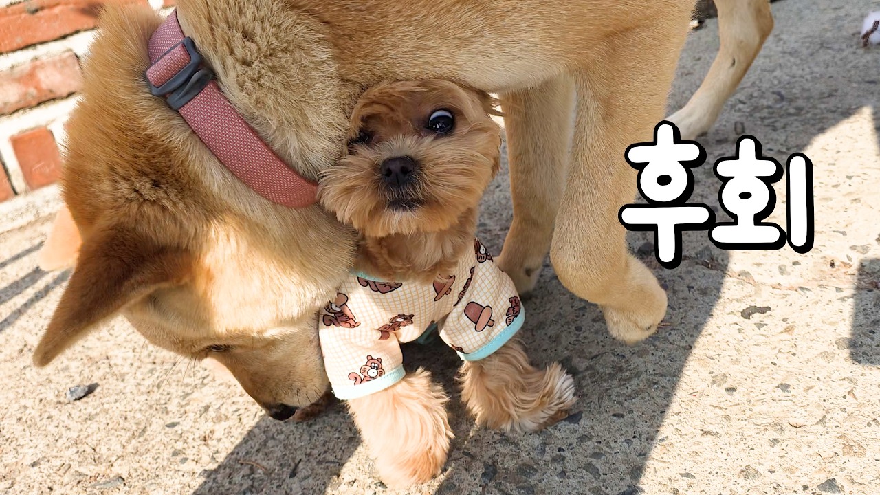 이제 상처 만들지 말자