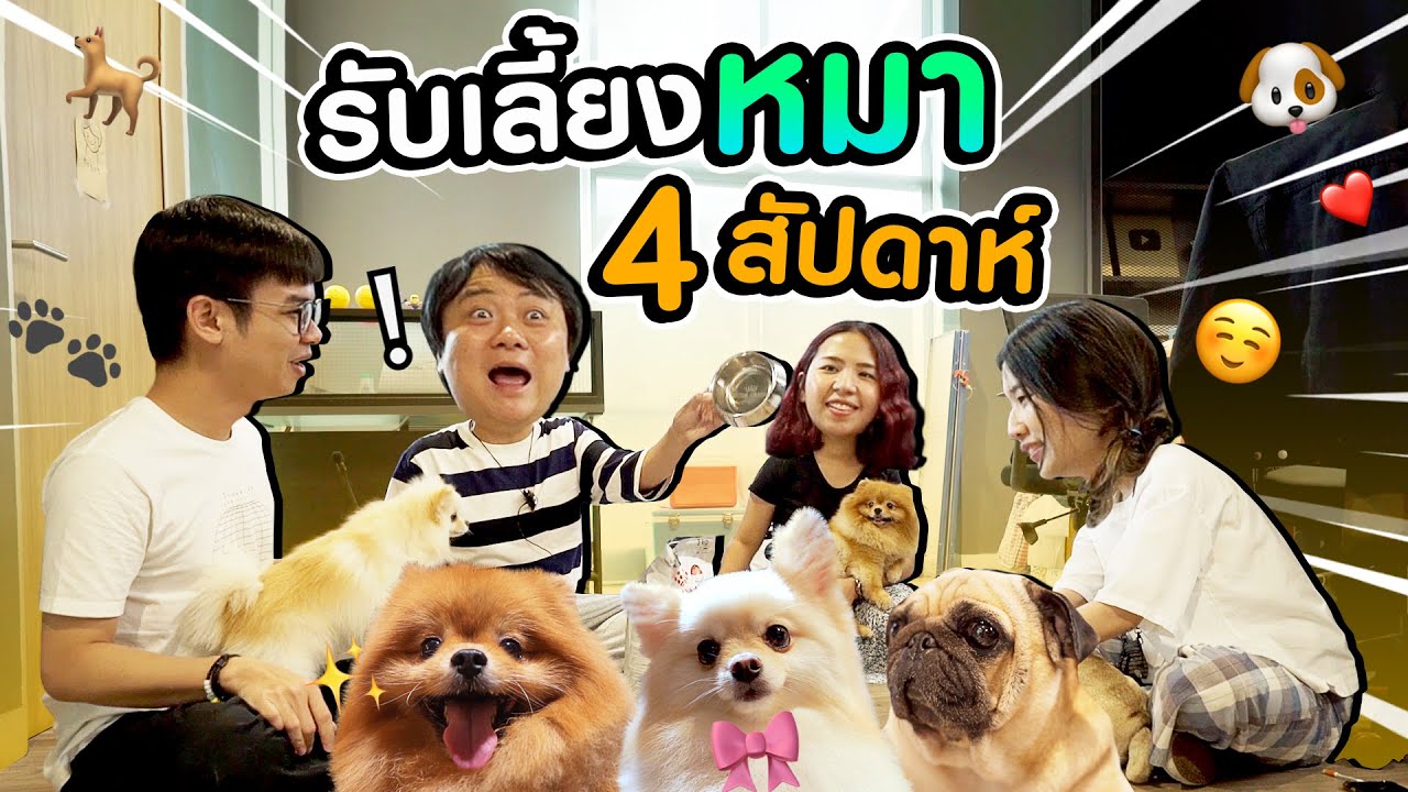 ไม่ทำงานกันแล้ว!! เมื่อพี่โค้ดพาน้องหมามาเล่นที่ออฟฟิศ