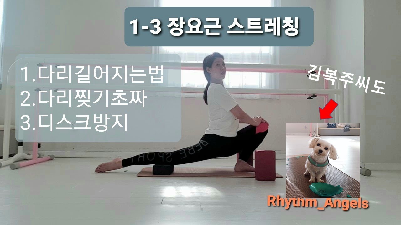 1-3 초급) 발레리나를 꿈꾸는 그대! 따라하면 무조건된다. (다리찢기 심화)